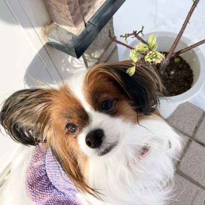 37856960 c9cb 4264 9b4e 59653ee7908c 1641445218663