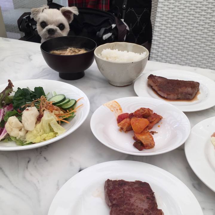 378583c3 7f6c 4a4e a35c 7c2853272eda 1534501499385