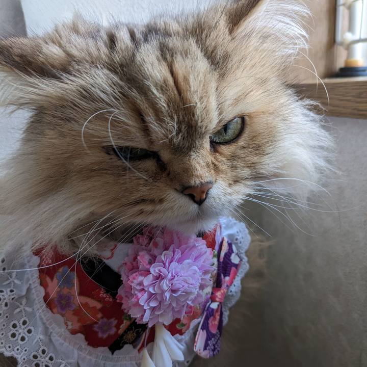 37858d56 1c48 4f91 b8a0 f2dc6e5df4a2 1677814962432