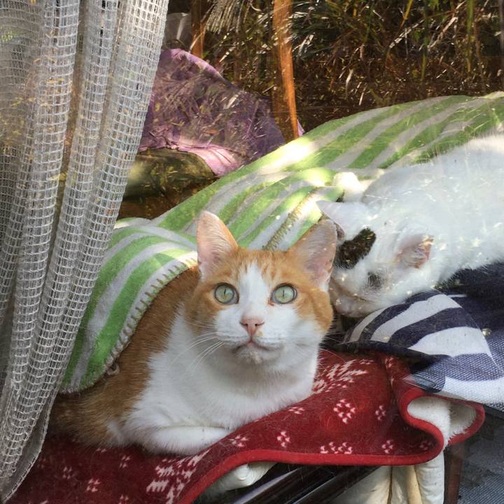 37859974 39d6 49d8 9f30 4b9dcfcce18e 1604303473146