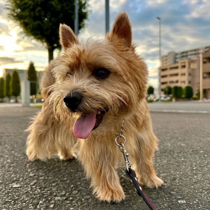 3785a0f1 fe25 40a4 a4a8 ac37f1941d46 1758546091424