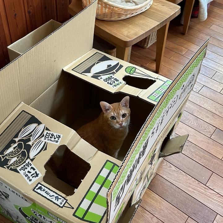 3785d5b4 9754 4fbf 9587 be44f0d83d4d 1691735027064