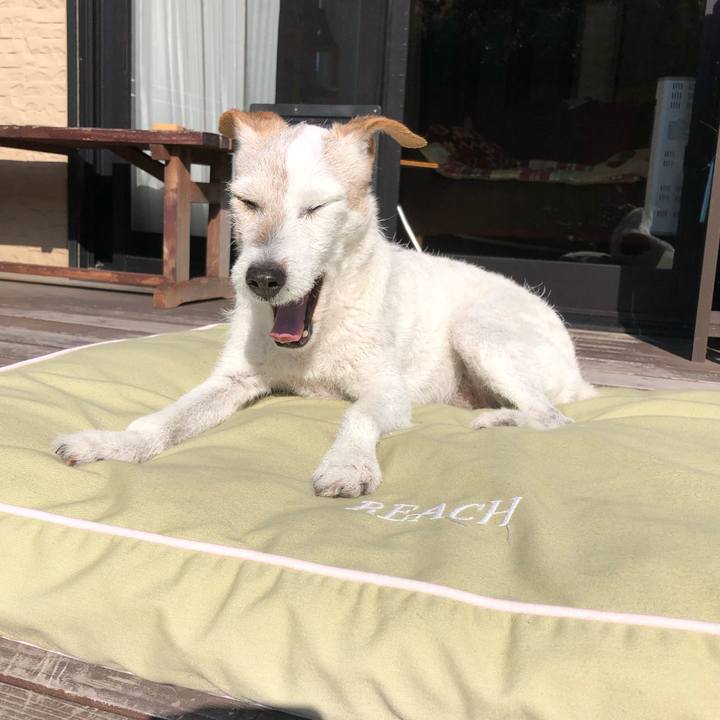 3785f906 34ea 4955 96a4 8b3c833c0587 1543363733448