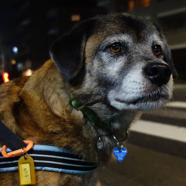 378616a3 237a 4fd5 b58a 01d6161b59f2 1539994478547