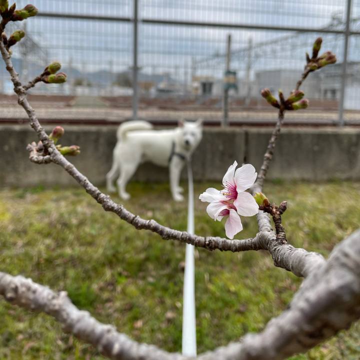 37865c24 7a86 4a43 a6ba 969d9cebd827 1615850181421