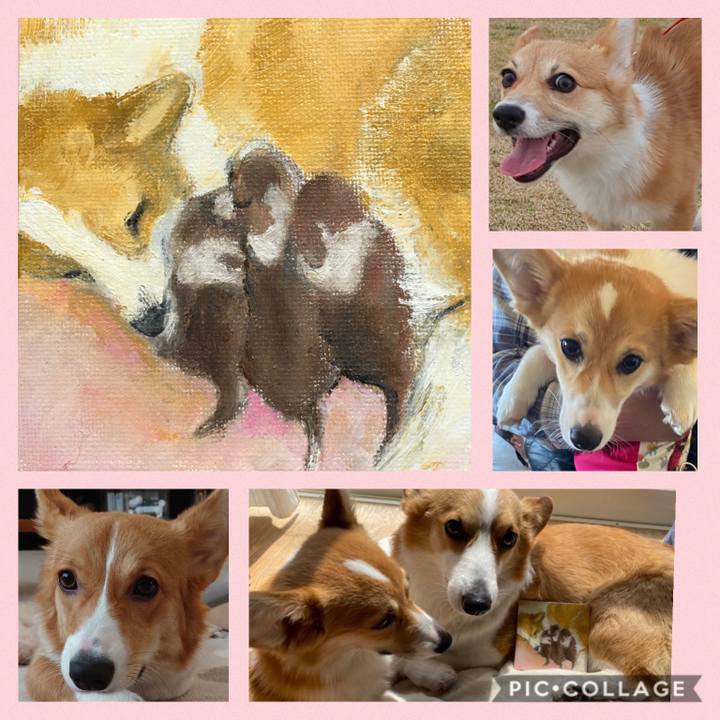 37867821 eab2 40b3 a1cb d9b50f3f2e2b 1586422491590