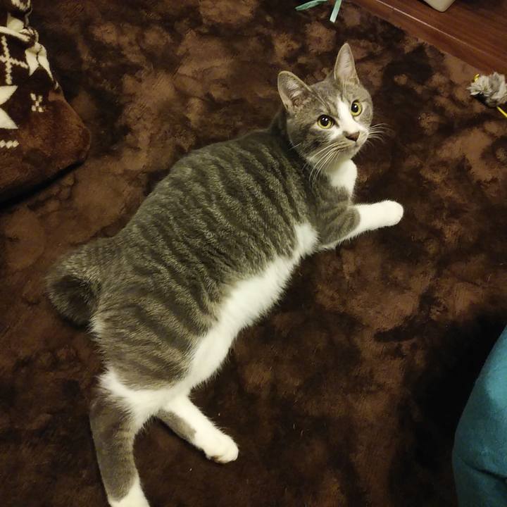 37869b5a d2d8 4511 a202 dbbcf6a158b1 1578751621803