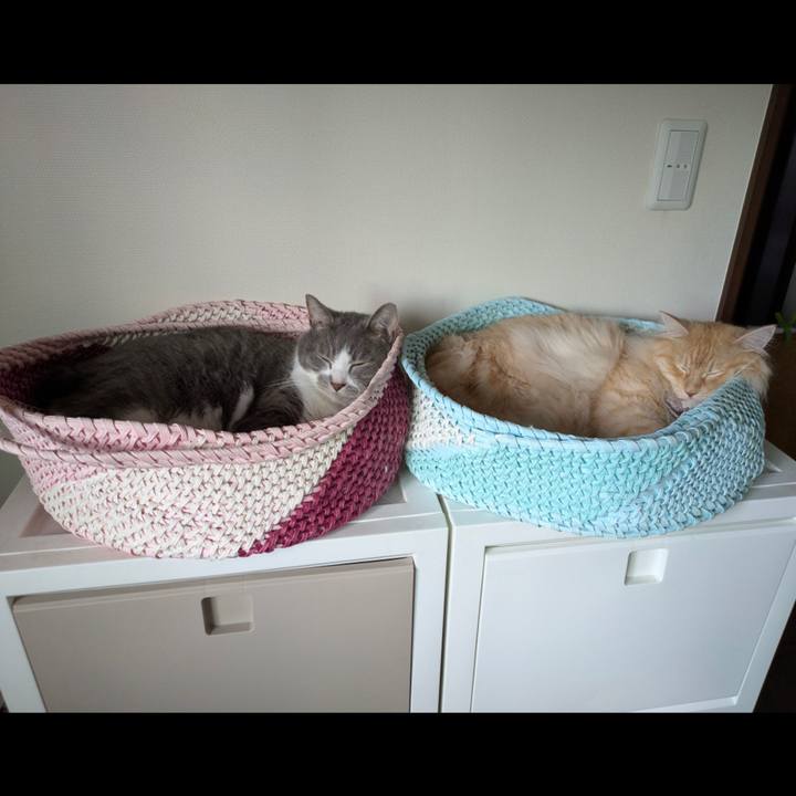 3786b264 e4b5 4b52 981a 53491e087869 1754642312663