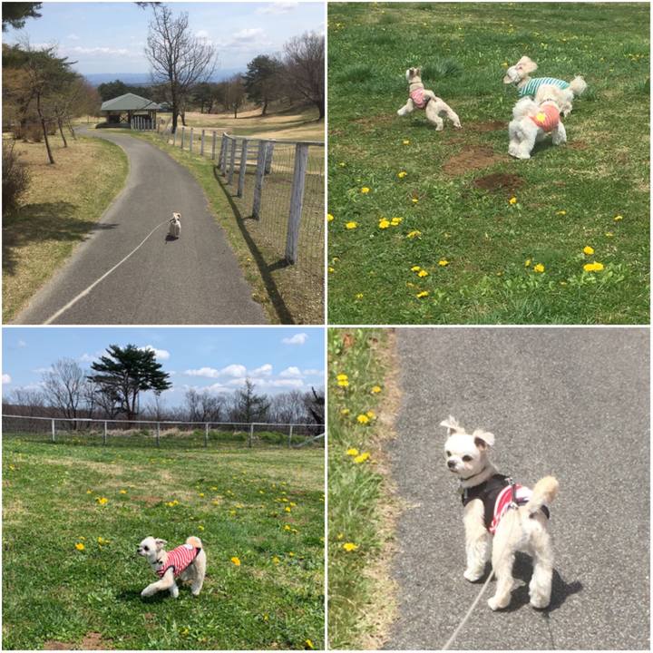 3786db0d f2bc 4cdf b672 125a36c0d050 1556695117633