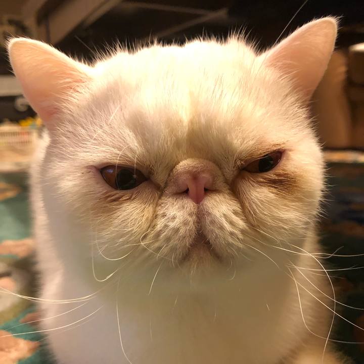 37871a10 ec9e 4e32 81f8 8b6d1ee42c22 1637491994581