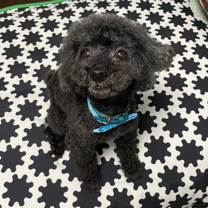 37872bd9 0a00 4117 9dfd d6a612c648b4 1661075346347