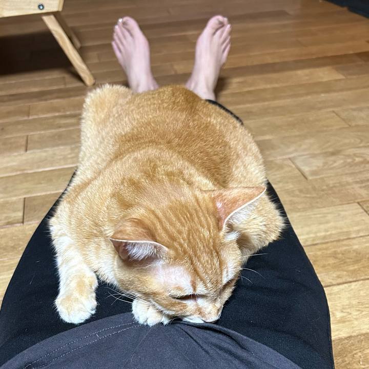 37879052 b592 4c7e af60 18a06f3691e0 1674129076637