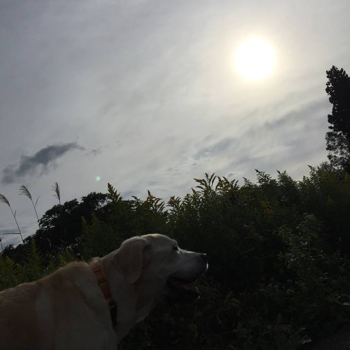 3787e709 d983 4a64 85c1 c97452667bc1 1539672125401