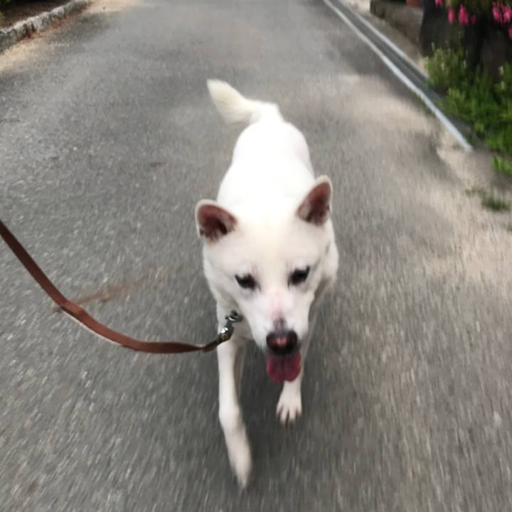 37882fa0 8e8d 47fb ab41 168249f63240 1526480419328