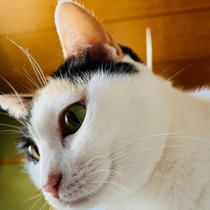 37882fab b97e 442b b321 80c7fadb462e 1613786858366