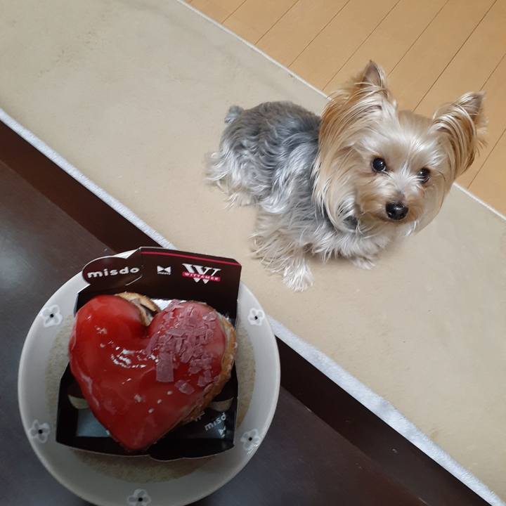 37885faa ee84 4bab 89d5 e0a8ffbfb952 1643696243938