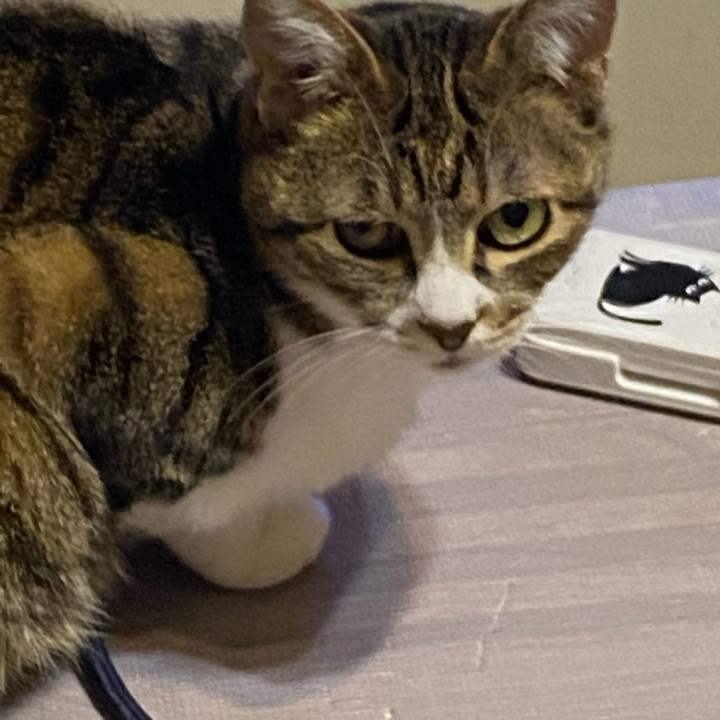 37889a9e 43d6 4969 a09f 2793d6ebd6e6 1614430293389