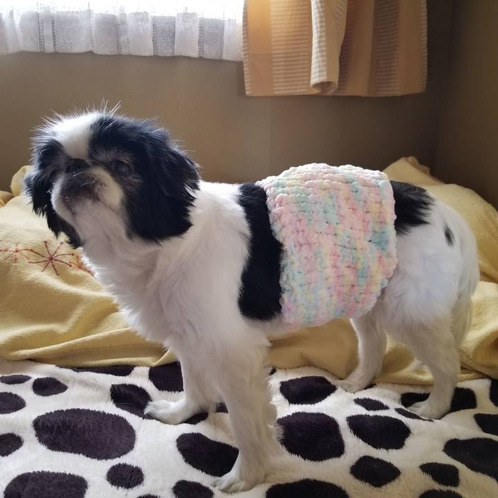 3788a6dc af8d 4382 81d9 4e09f926281d 1578903476181