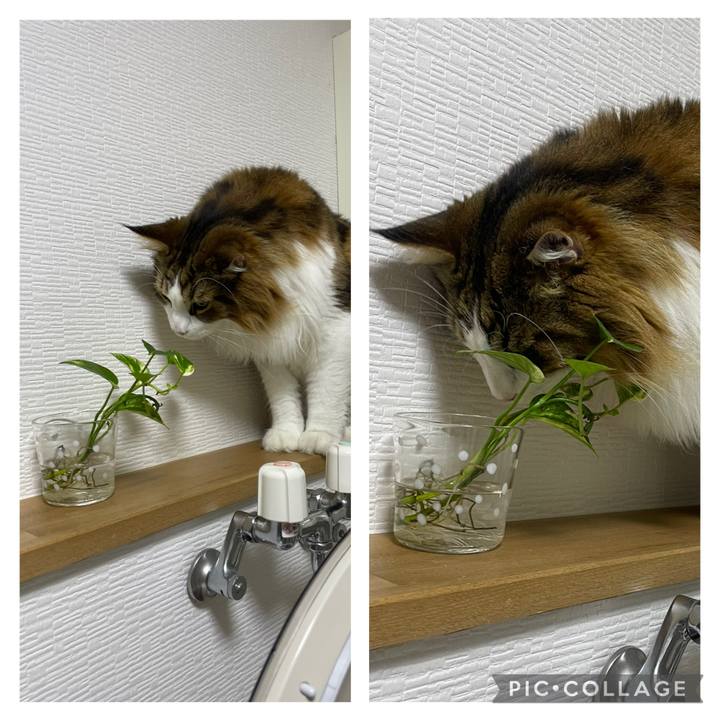 3788c76b 7e22 4e86 b9ae 6d730f16ee07 1756841935959