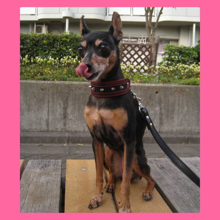 3788f37b 71e1 42d3 94d5 59bc6e818565 1746590954240