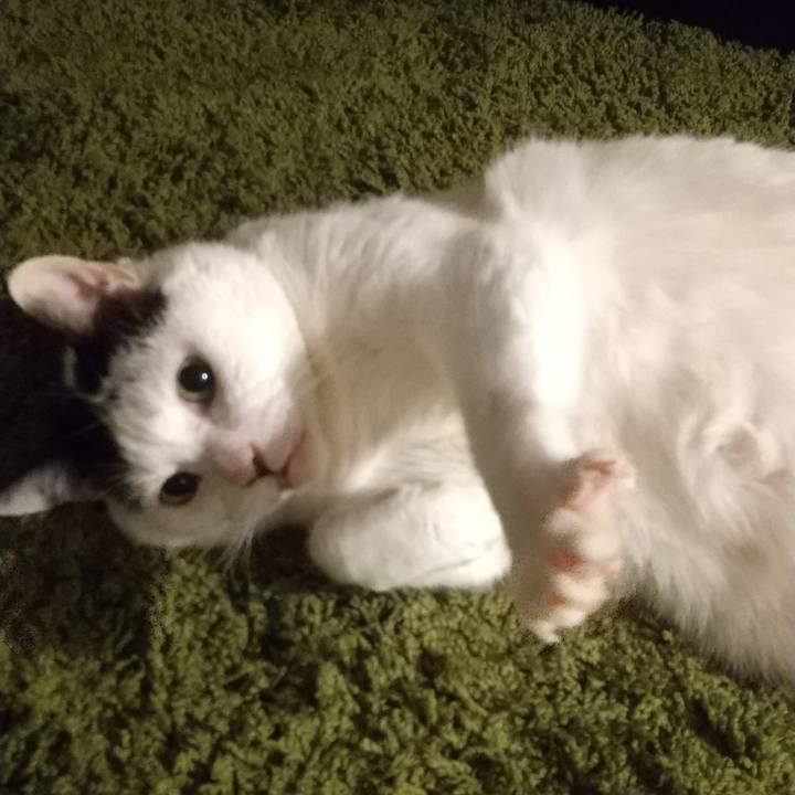 37895c84 aee4 4900 97e8 63e103c607d5 1605769219205