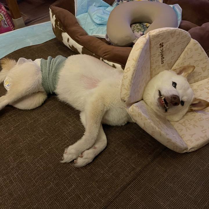 37896af2 9829 41f8 8062 1dbff14c4492 1667385914347