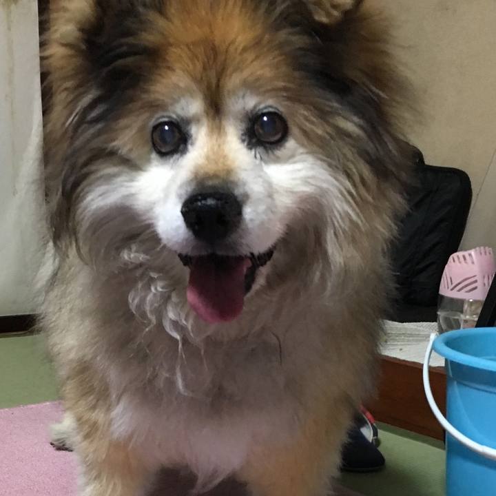 37897c74 6720 4fe7 b8db a3642ea92e56 1618900186508