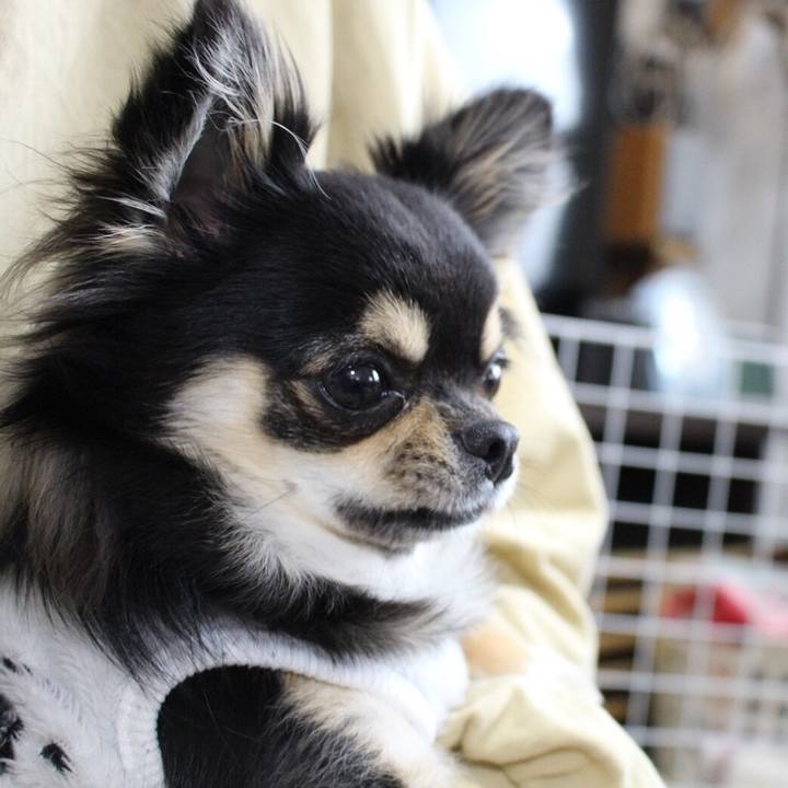 37899b7c b389 47e9 b816 de698a5eaaf7 1555551123655