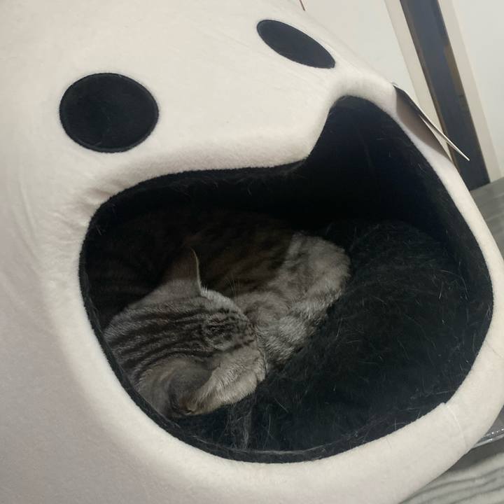 3789a383 f33e 4fbc 94a0 8adeaa3acce7 1737557595652