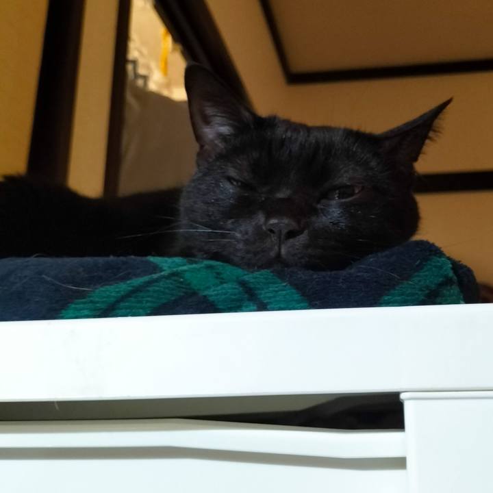 3789aa94 ddf5 4b7b 96b6 b6441e75eeee 1670153647236