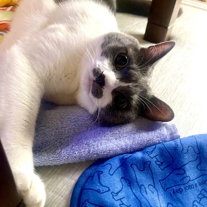 3789ab9d 41fb 45e3 9d1d 9ee1ea0c3bf9 1754602223978