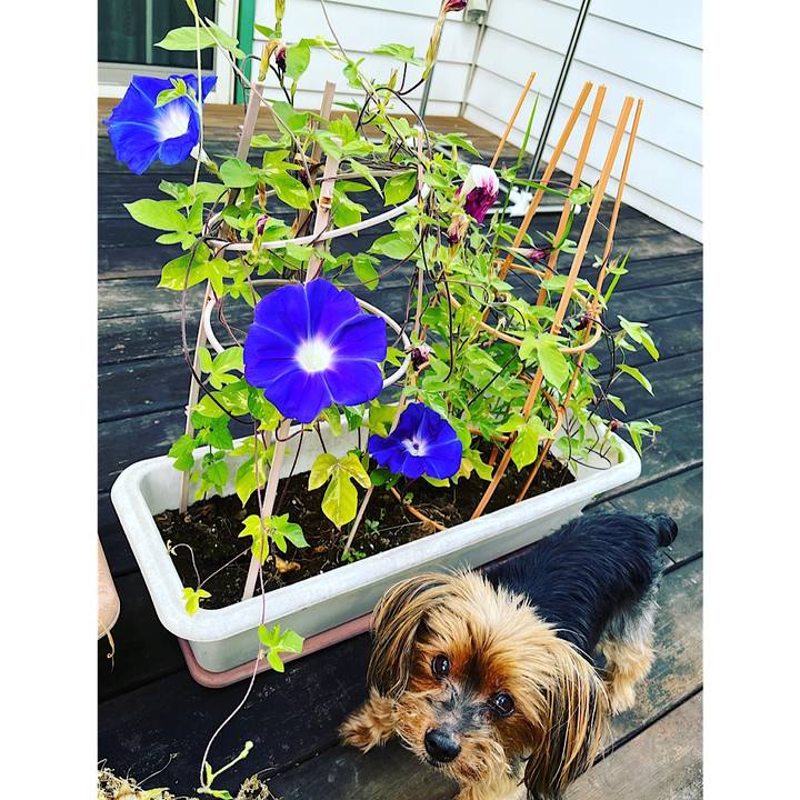 3789cfba c86e 46d1 a916 79997e87a4da 1691447200295