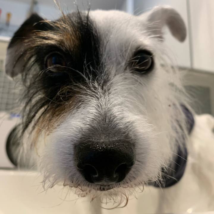 3789f027 58a6 48e8 a8c9 1d9e3bda3e69 1654647418366