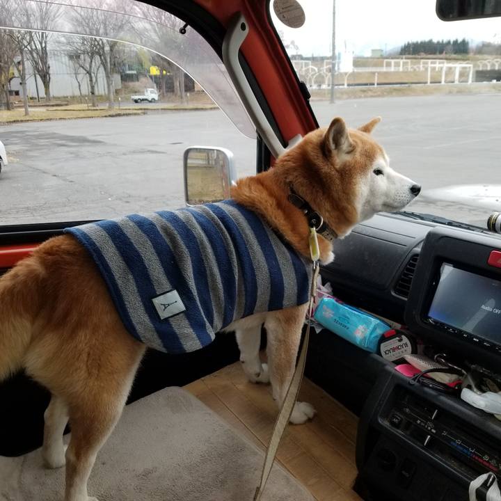 3789f9f7 e89d 421e 9622 29d560a4b21c 1671254887678