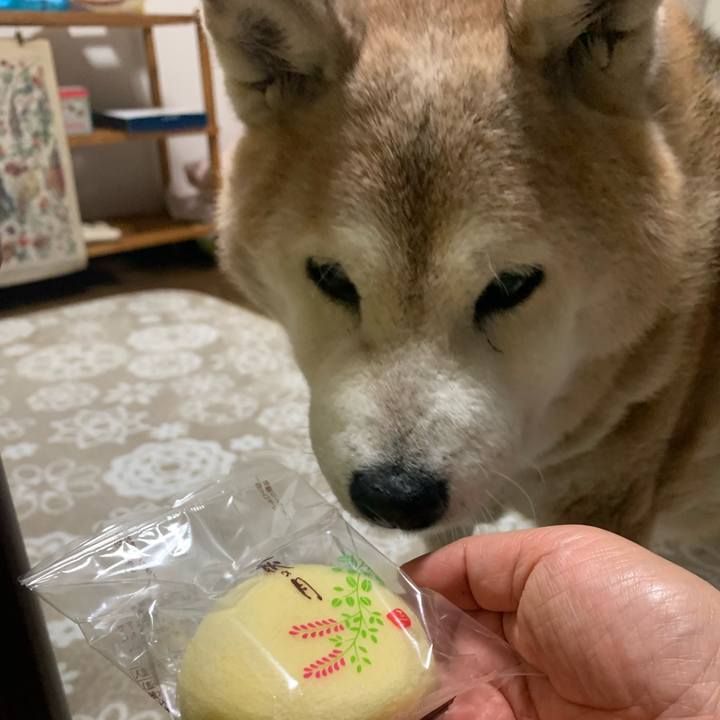 3789fec0 98fa 4f51 9b12 073d01a6f768 1665748645170