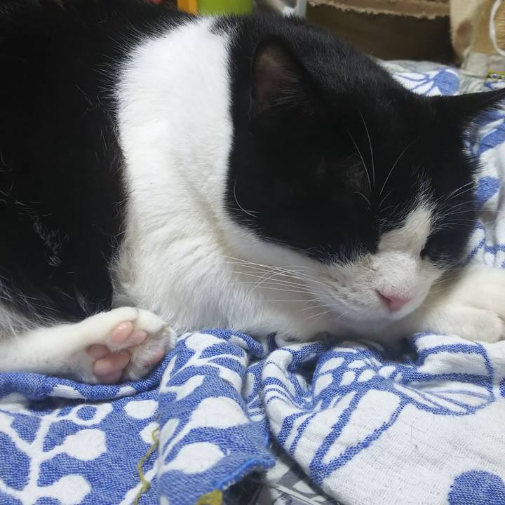 378a3078 2569 43b7 a2d3 06fe073891e6 1568598149978