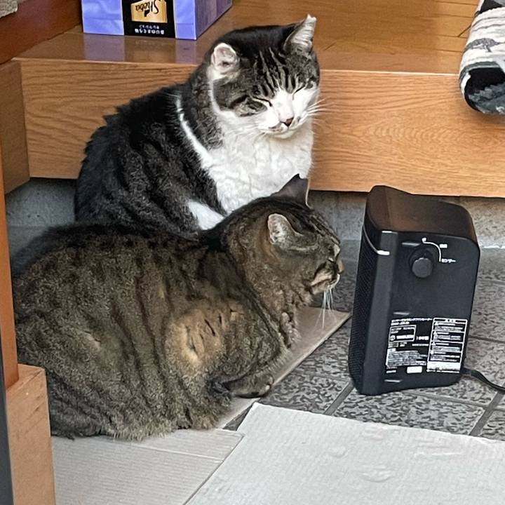 378a3b31 febc 483b 8c50 1c663cc2779e 1642657536510