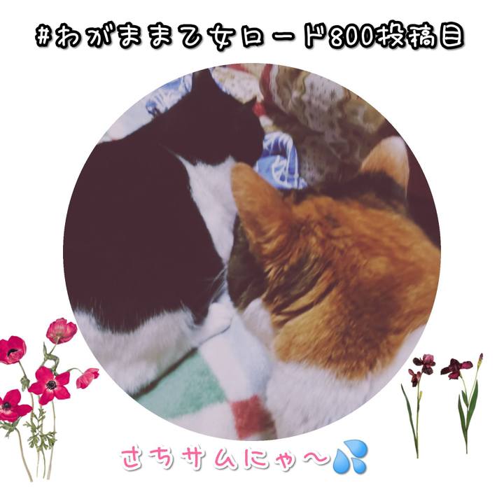 378a49c7 7057 4aba 8f5a a3a1ed47beee 1571402647488