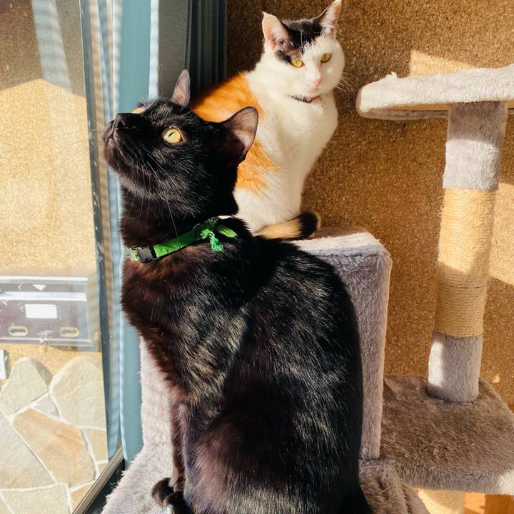 378a6cfd f0c6 4320 a862 9a24c7b80aab 1668903998594