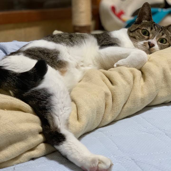 378a7b94 9edd 49e6 a873 ca7de64ffd9d 1538962196941