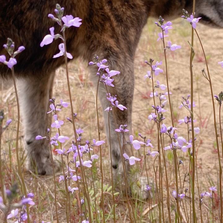 378a93f6 2073 415f aaad d5e063a21309 1588287419513