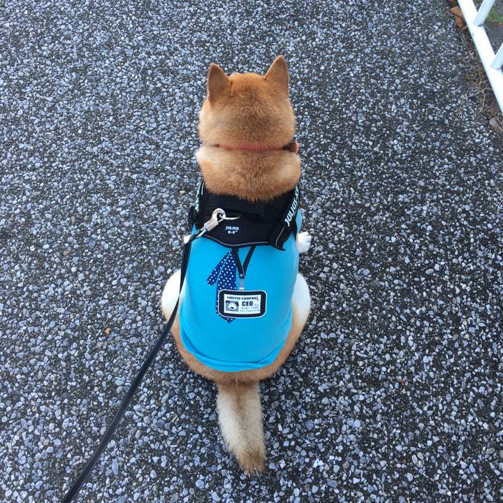 378aab51 d130 41d6 86f2 4b22dc93bacf 1534291353652