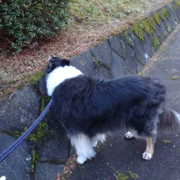 378ae3ca 1999 4dee 96fa dfd9119b6570 1579263392445