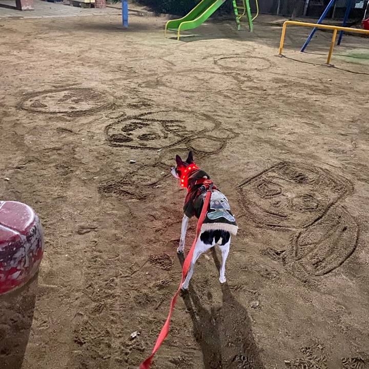 378ae596 24bd 4fc5 bad9 9d712d09a5b8 1614339463699