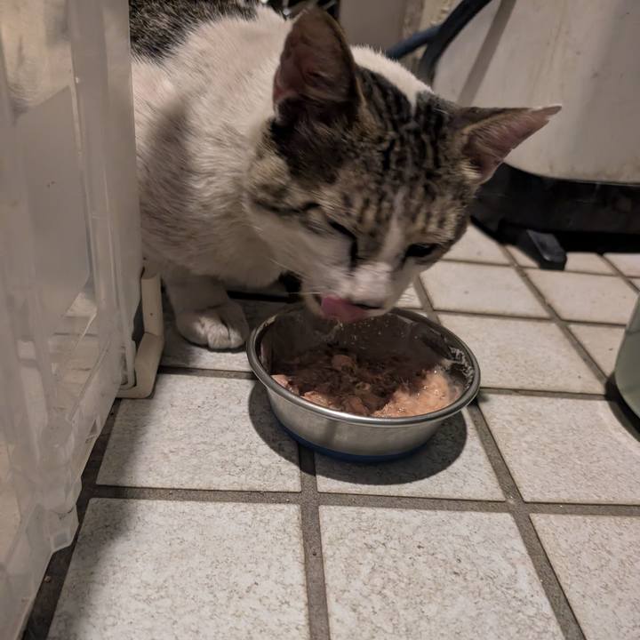 378b1609 f6e1 4497 8769 9bfeb27fde89 1751475057262