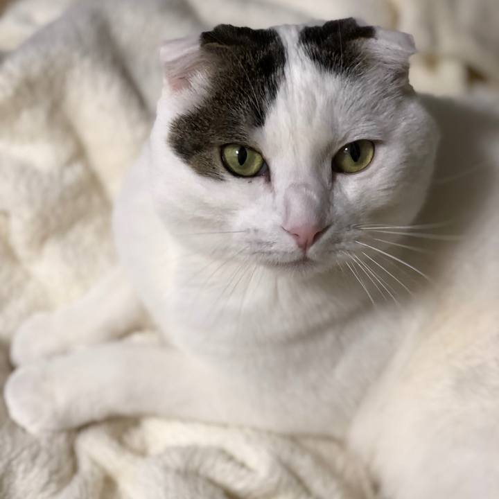 378b1eb4 1f83 4949 9ba2 b61342dc5f02 1550839205649