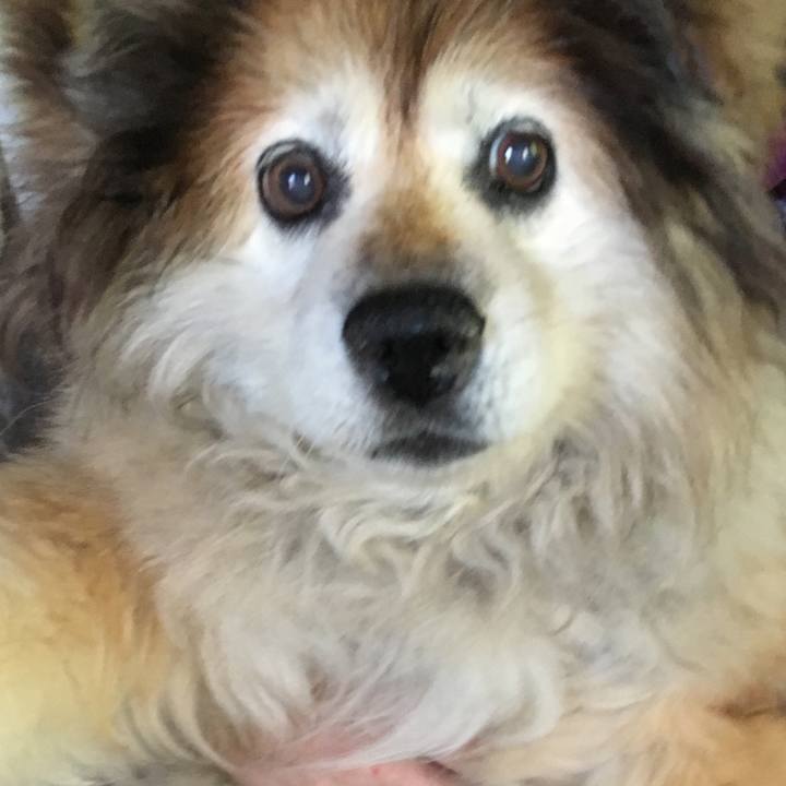 378b3110 2227 41ff bedc 4f4b7701076d 1570421145415