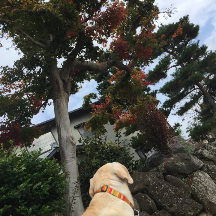 378b4b9c 2445 4533 9aba 6bc43e622d9c 1541578947848