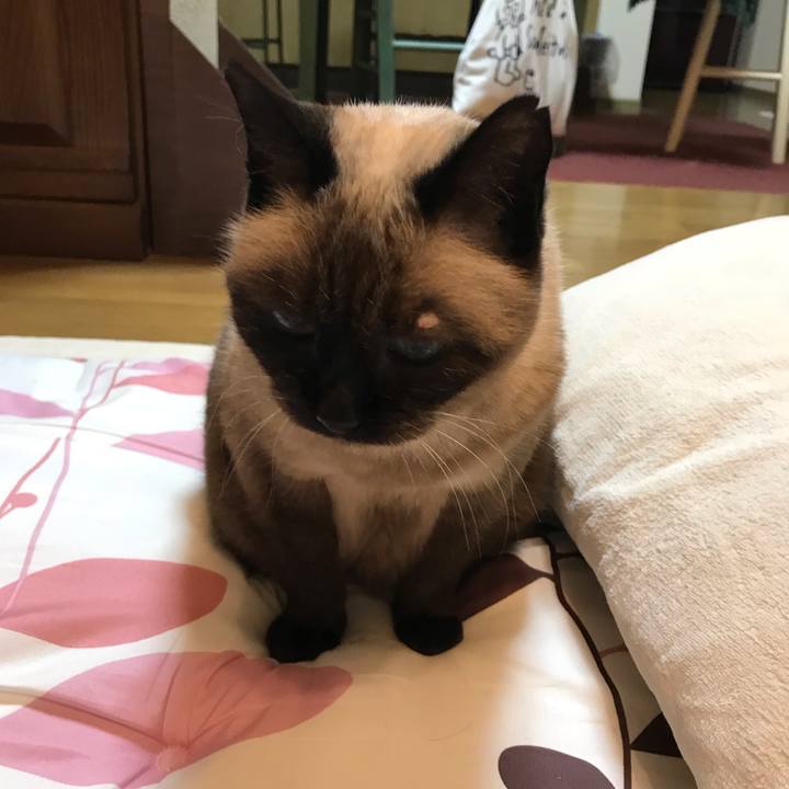 378b4b9c b7e0 4889 be8b 6e05a0e0c912 1539129699009