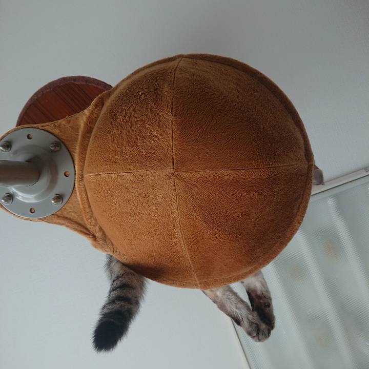 378b5557 c59a 4f6c a762 7eb6f80971cc 1535353673995